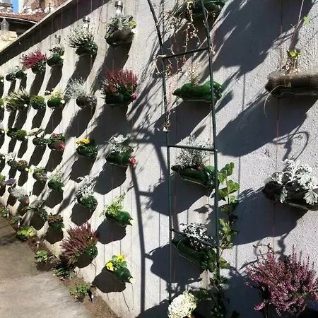 Pop Bogomil Family Sofia