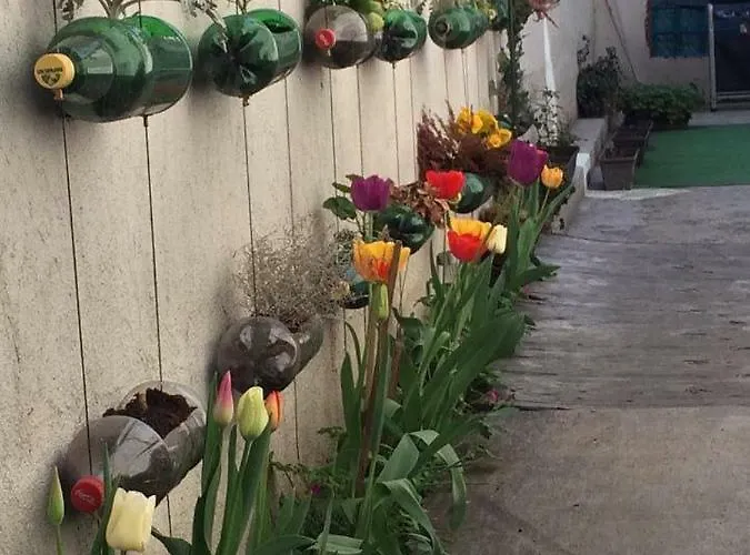 Hotel Pop Bogomil Family Sofia