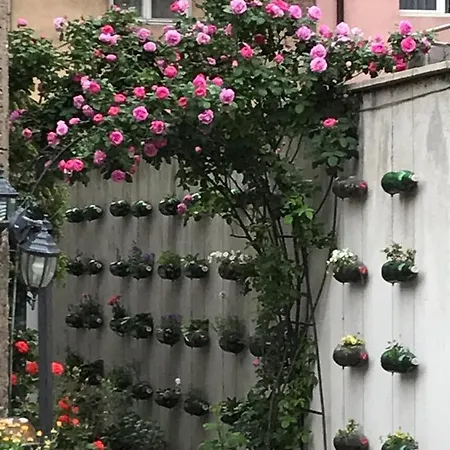 Pop Bogomil Family Hotell 2*