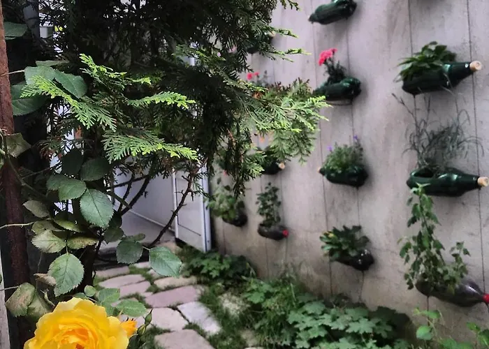 Pop Bogomil Family Hotel