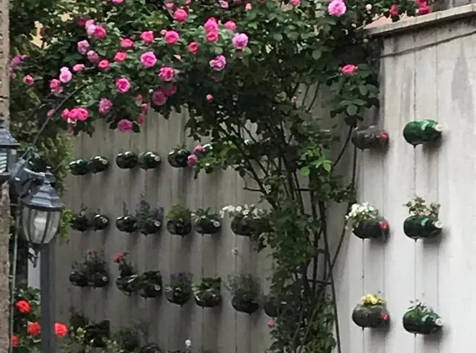 Pop Bogomil Family Хотел 2*