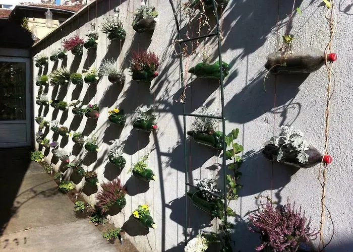 Pop Bogomil Family София